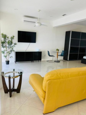 The falls Suite Apto 2
